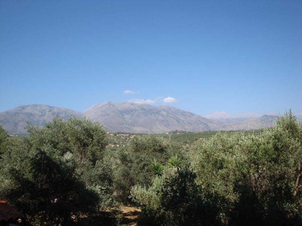 Calamon Apartments Episkopi-Chania Exterior foto