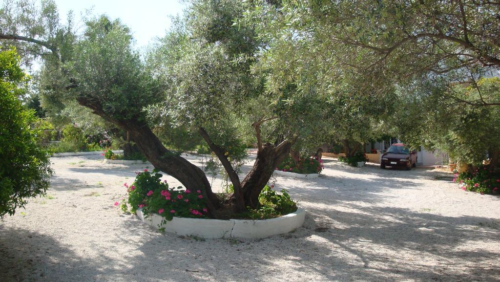Calamon Apartments Episkopi-Chania Exterior foto