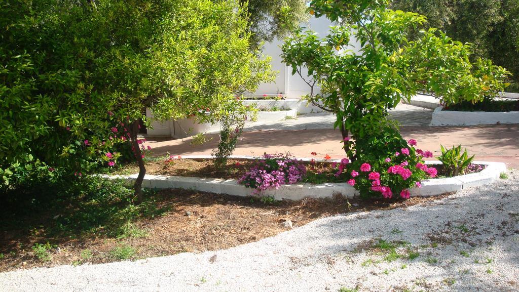 Calamon Apartments Episkopi-Chania Exterior foto