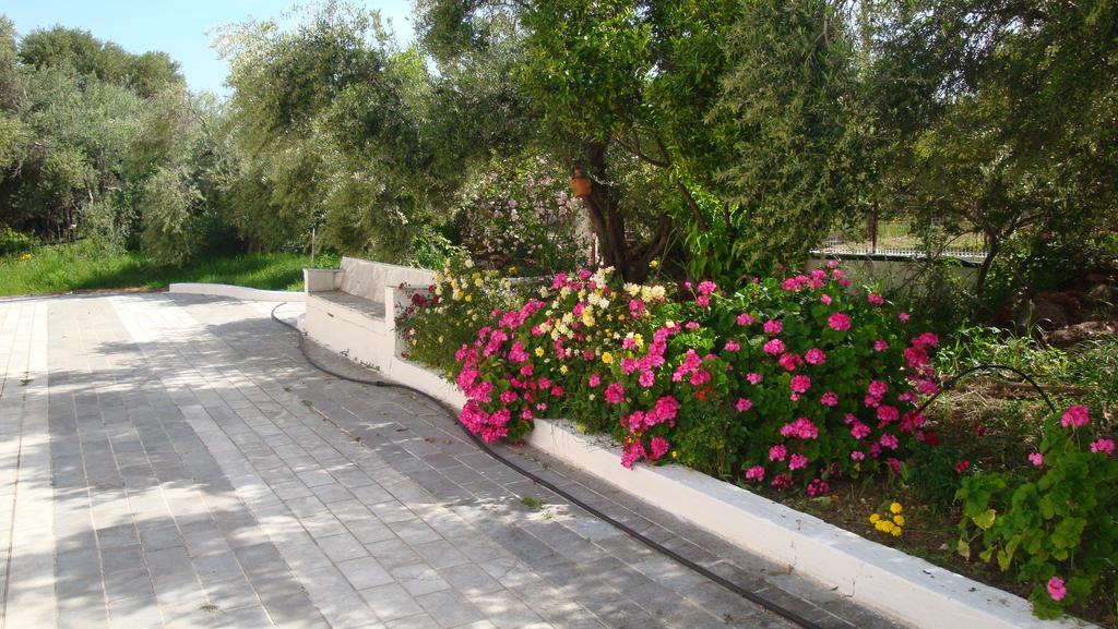 Calamon Apartments Episkopi-Chania Exterior foto