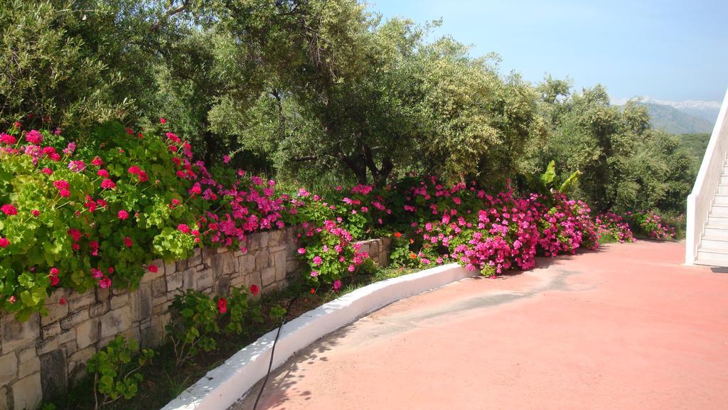 Calamon Apartments Episkopi-Chania Exterior foto